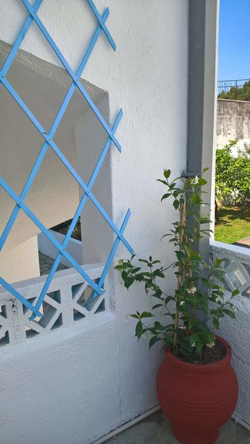 Apartment Anastasia & Panormos (Skopelos)